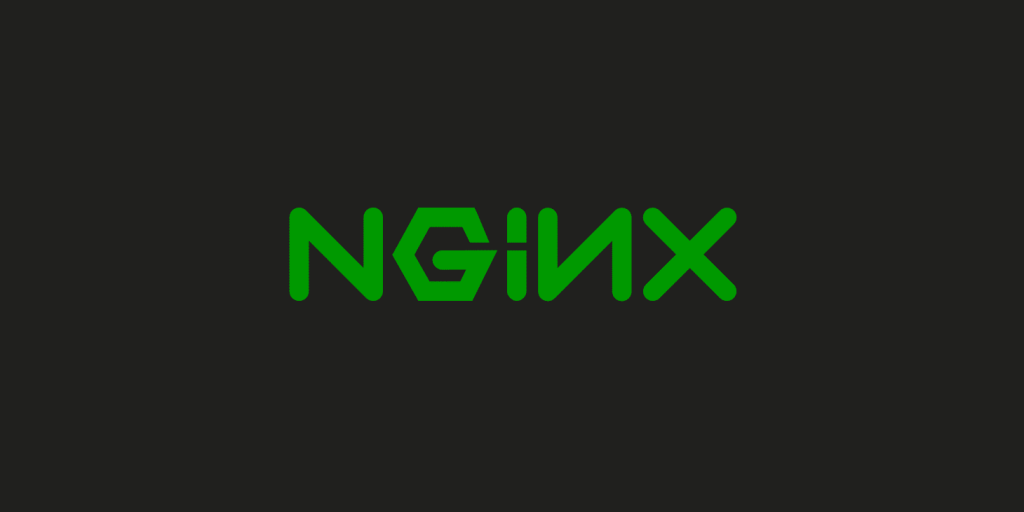 nginx log files